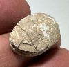 Picture of ANCIENT EGYPT - BEAUTIFUL & ELEGANT 2ND INTERMEDIATE PERIOD STEATITE SCARAB. 2000 B.C.