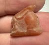 Picture of ANCIENT EGYPT -  BEAUTIFUL  CARNELIAN AMULET OF A HARE . NEW KINGDOM .1250 B.C. 