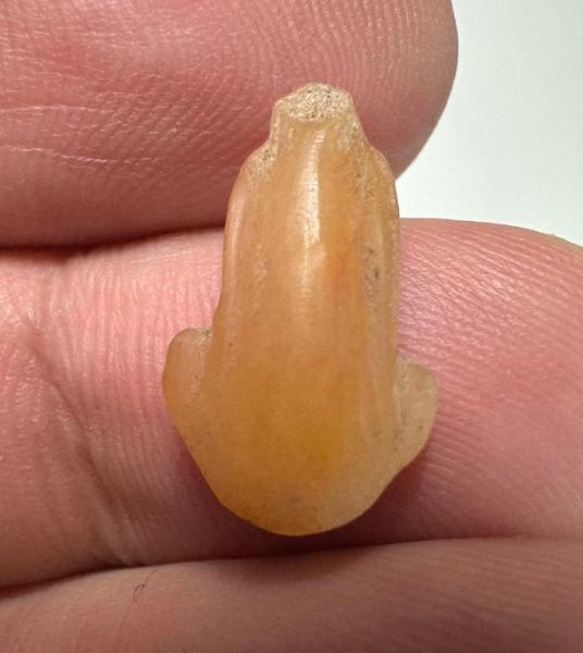 Picture of ANCIENT EGYPT. NEW KINGDOM CARNELIAN LOTUS FLOWER. 1250 B.C