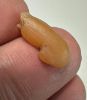 Picture of ANCIENT EGYPT. NEW KINGDOM CARNELIAN LOTUS FLOWER. 1250 B.C