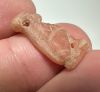 Picture of ANCIENT EGYPT.  NEW KINGDOM STONE BABOON AMULET. 1250 B.C