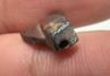 Picture of ANCIENT EGYPT, NEW KINGDOM RED JASPER FLY AMULET. 1400 B.C
