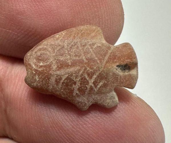 Picture of ANCIENT EGYPT. NEW KINGDOM  STONE TILAPIA FISH AMULET. 1400 - 1200 B.C