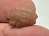 Picture of ANCIENT EGYPT. NEW KINGDOM  STONE TILAPIA FISH AMULET. 1400 - 1200 B.C