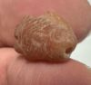 Picture of ANCIENT EGYPT. NEW KINGDOM  STONE TILAPIA FISH AMULET. 1400 - 1200 B.C