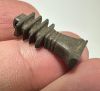 Picture of ANCIENT EGYPT. STONE DJED PILLAR AMULET. NEW KINGDOM. 1250 B.C