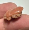 Picture of ANCIENT EGYPT.  NEW KINGDOM STONE BUTTON SCARAB. 1250 B.C