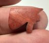 Picture of ANCIENT EGYPT. RED JASPER  EYE OF HORUS AMULET. 1250 B.C  NEW KINGDOM