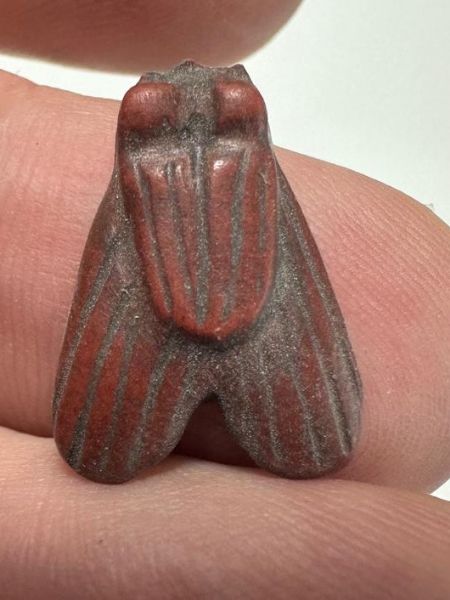 Picture of ANCIENT EGYPT, NEW KINGDOM RED JASPER FLY AMULET. 1400 B.C