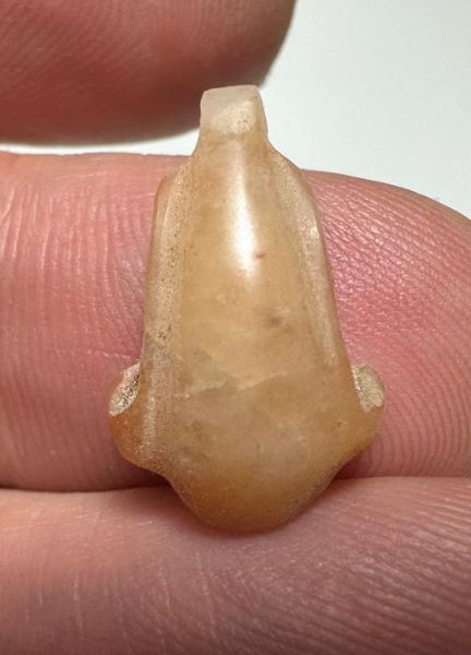 Picture of ANCIENT EGYPT. NEW KINGDOM CARNELIAN LOTUS FLOWER. 1250 B.C
