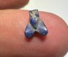 Picture of ANCIENT EGYPT, NEW KINGDOM LAPIS LAZUL FLY AMULET. 1400 B.C