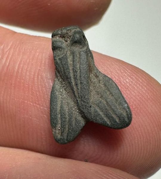 Picture of ANCIENT EGYPT, NEW KINGDOM STONE FLY AMULET. 1400 B.C