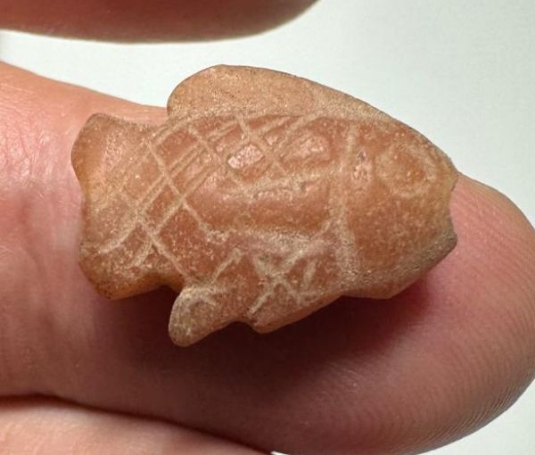Picture of ANCIENT EGYPT. NEW KINGDOM  STONE TILAPIA FISH AMULET. 1400 - 1200 B.C