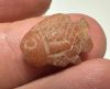Picture of ANCIENT EGYPT. NEW KINGDOM  STONE TILAPIA FISH AMULET. 1400 - 1200 B.C
