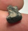 Picture of ANCIENT EGYPTIAN STONE BA BIRD AMULET. 1400 - 1200 B.C  NEW KINGDOM