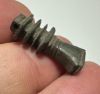 Picture of ANCIENT EGYPT. STONE DJED PILLAR AMULET. NEW KINGDOM. 1250 B.C
