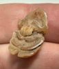 Picture of ANCIENT EGYPT.  NEW KINGDOM STONE BUTTON SCARAB. 1250 B.C