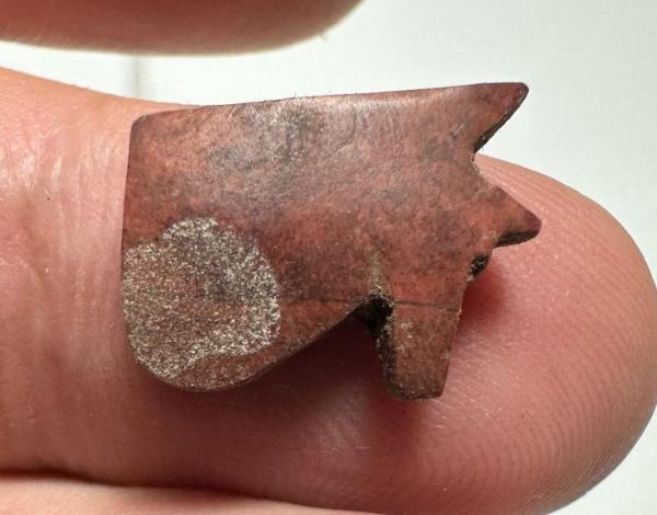 Picture of   ANCIENT EGYPT. RED JASPER  EYE OF HORUS AMULET. 1250 B.C  NEW KINGDOM