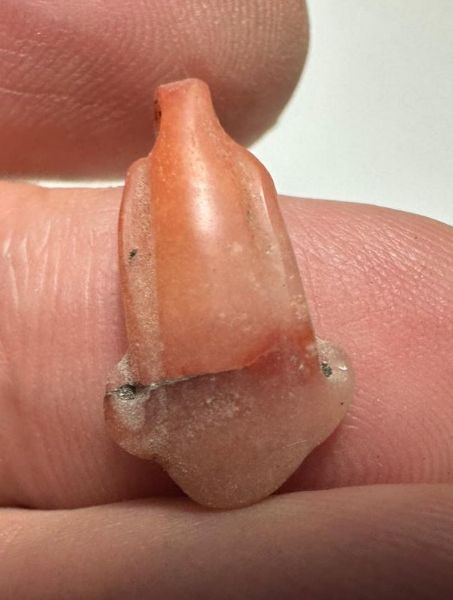 Picture of ANCIENT EGYPT. NEW KINGDOM CARNELIAN LOTUS FLOWER. 1250 B.C