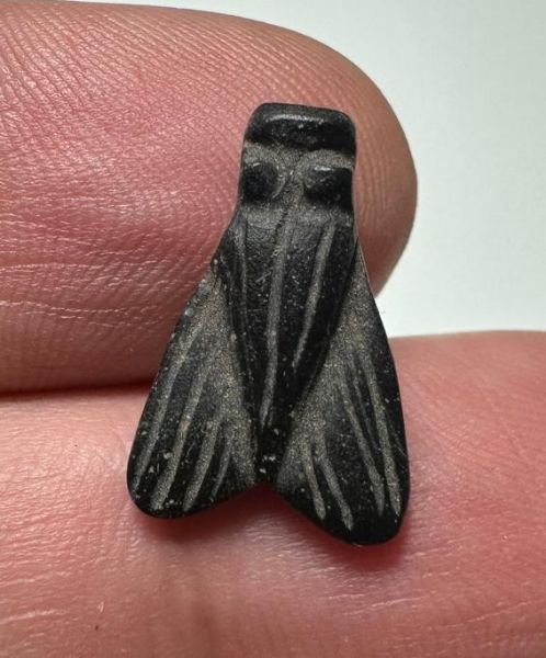 Picture of ANCIENT EGYPT, NEW KINGDOM STONE FLY AMULET. 1400 B.C