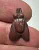 Picture of ANCIENT EGYPT, NEW KINGDOM RED JASPER FLY AMULET. 1400 B.C