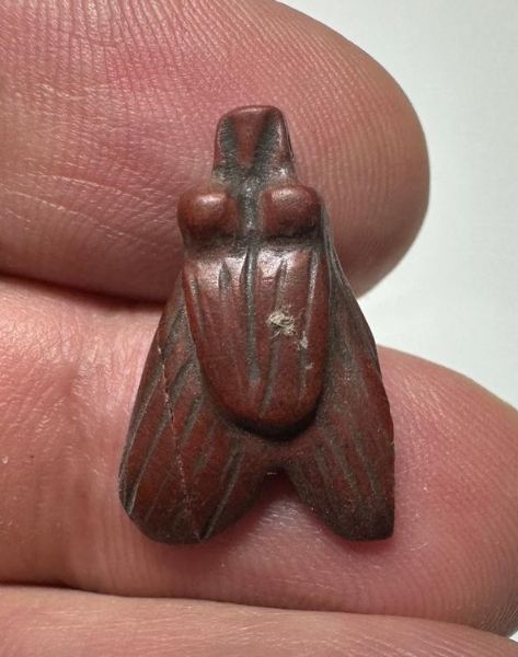 Picture of ANCIENT EGYPT, NEW KINGDOM RED JASPER FLY AMULET. 1400 B.C