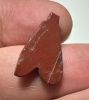 Picture of ANCIENT EGYPT, NEW KINGDOM RED JASPER FLY AMULET. 1400 B.C