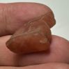 Picture of ANCIENT EGYPT -  BEAUTIFUL  CARNELIAN AMULET OF A HARE . NEW KINGDOM .1250 B.C. 