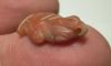 Picture of ANCIENT EGYPT. NEW KINGDOM  STONE  AMULET OF A PRINCE?. 1400 - 1200 B.C