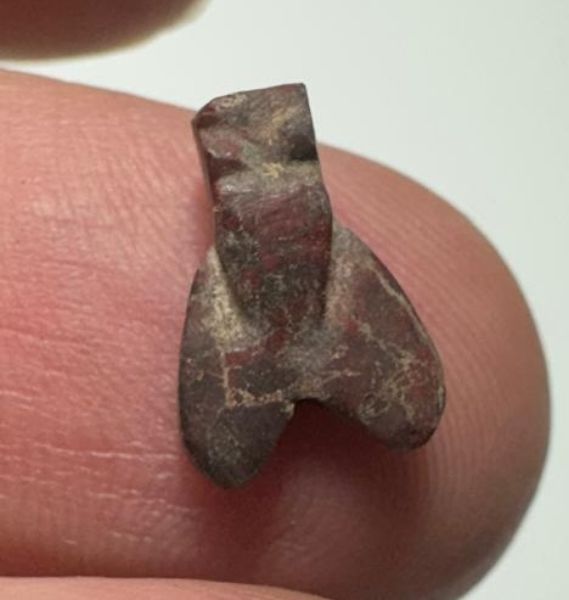 Picture of ANCIENT EGYPT, NEW KINGDOM RED JASPER FLY AMULET. 1400 B.C