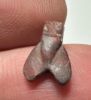 Picture of ANCIENT EGYPT, NEW KINGDOM RED JASPER FLY AMULET. 1400 B.C