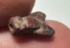 Picture of ANCIENT EGYPT, NEW KINGDOM RED JASPER FLY AMULET. 1400 B.C