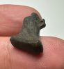 Picture of ANCIENT EGYPT. NEW KINGDOM STONE FALCON (HORUS) AMULET. 1250 B.C