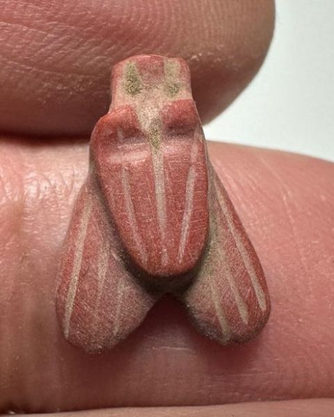 Picture of ANCIENT EGYPT, NEW KINGDOM RED JASPER FLY AMULET. 1400 B.C