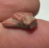 Picture of ANCIENT EGYPT, NEW KINGDOM RED JASPER FLY AMULET. 1400 B.C