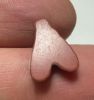 Picture of ANCIENT EGYPT, NEW KINGDOM RED JASPER FLY AMULET. 1400 B.C