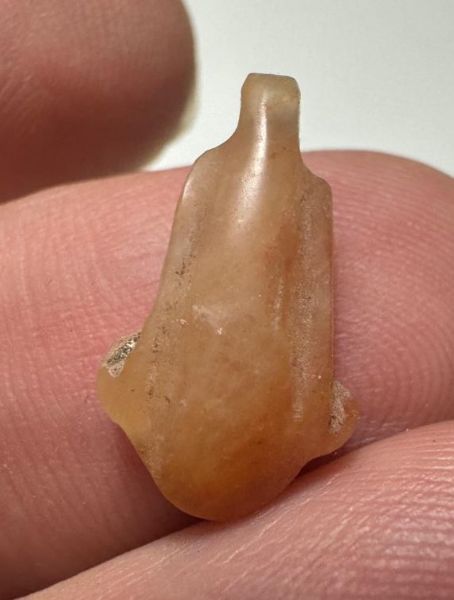 Picture of ANCIENT EGYPT. NEW KINGDOM CARNELIAN LOTUS FLOWER. 1250 B.C