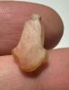 Picture of ANCIENT EGYPT. NEW KINGDOM CARNELIAN LOTUS FLOWER. 1250 B.C