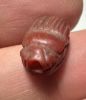 Picture of  ANCIENT EGYPT. NEW KINGDOM STONE SCARAB.  14 TH CENTURY B.C