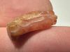 Picture of ANCIENT EGYPT. NEW KINGDOM  STONE  AMULET OF COBRA WITH ISIS HEAD. 1400 - 1200 B.C