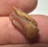 Picture of ANCIENT EGYPT. NEW KINGDOM  STONE  AMULET OF COBRA WITH ISIS HEAD. 1400 - 1200 B.C