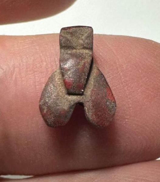 Picture of ANCIENT EGYPT. NEW KINGDOM RED JASPER FLY AMULET. 1400 B.C