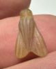 Picture of ANCIENT EGYPT. NEW KINGDOM STONE FLY AMULET. 1400 B.C