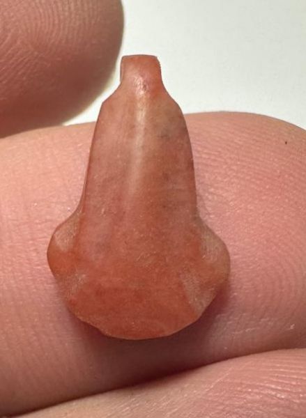 Picture of ANCIENT EGYPT. NEW KINGDOM CARNELIAN LOTUS FLOWER. 1250 B.C
