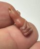Picture of ANCIENT EGYPT.  NEW KINGDOM STONE BABOON AMULET. 1250 B.C