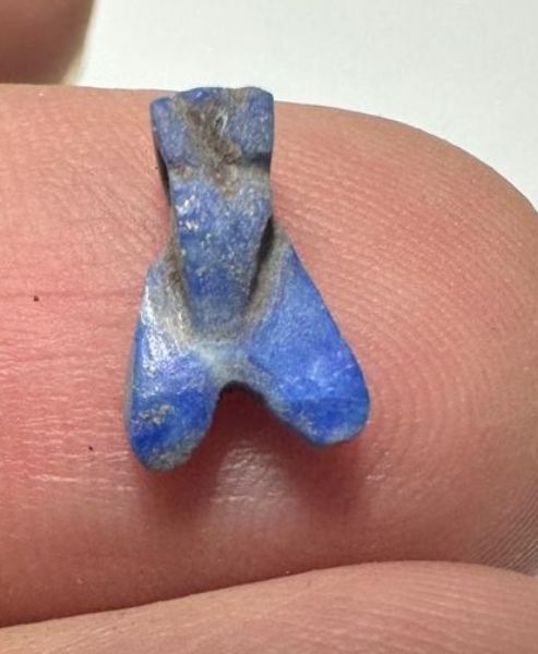 Picture of ANCIENT EGYPT, NEW KINGDOM LAPIS LAZUL FLY AMULET. 1400 B.C