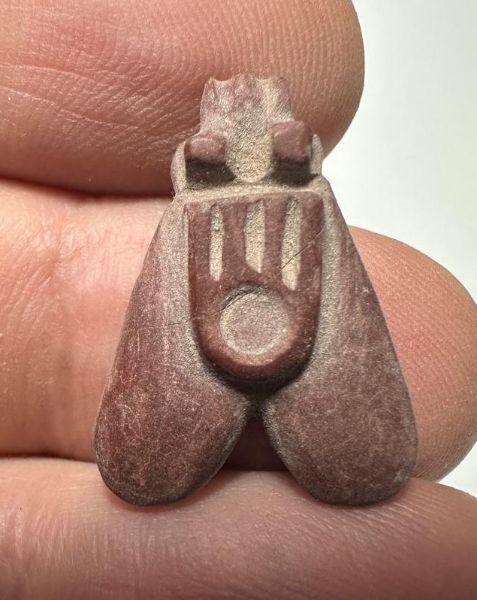 Picture of ANCIENT EGYPT, NEW KINGDOM RED JASPER FLY AMULET. 1400 B.C