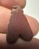 Picture of ANCIENT EGYPT, NEW KINGDOM RED JASPER FLY AMULET. 1400 B.C