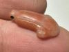 Picture of ANCIENT EGYPT. NEW KINGDOM CARNELIAN LOTUS FLOWER. 1250 B.C
