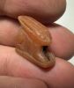 Picture of ANCIENT EGYPT -  BEAUTIFUL  CARNELIAN AMULET OF A HARE . NEW KINGDOM .1250 B.C. 